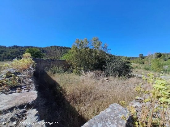 Finca en venta en Arens de Lledó (Teruel)