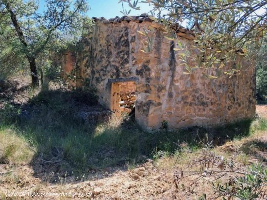 Finca en venta en Cretas (Teruel)