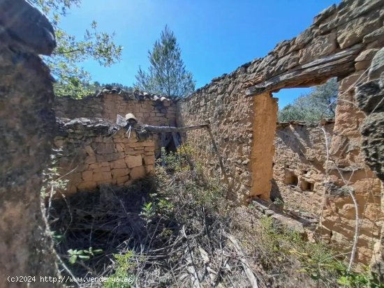 Finca en venta en Cretas (Teruel)