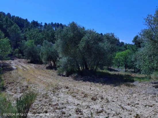 Finca en venta en Cretas (Teruel)