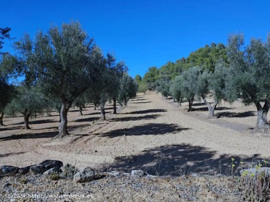 Finca en venta en Arens de Lledó (Teruel)