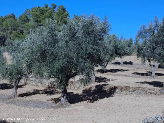 Finca en venta en Arens de Lledó (Teruel)