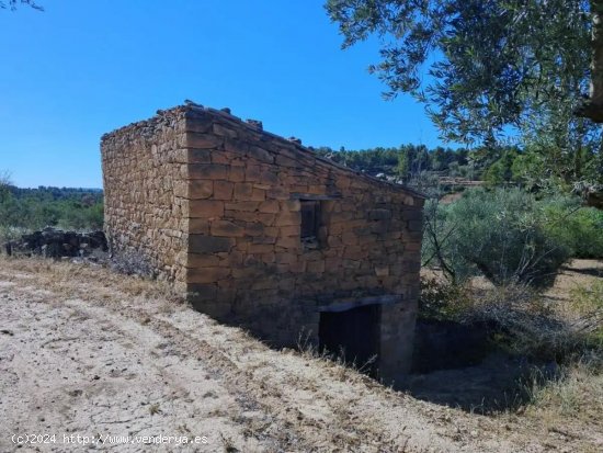 Finca en venta en Arens de Lledó (Teruel)