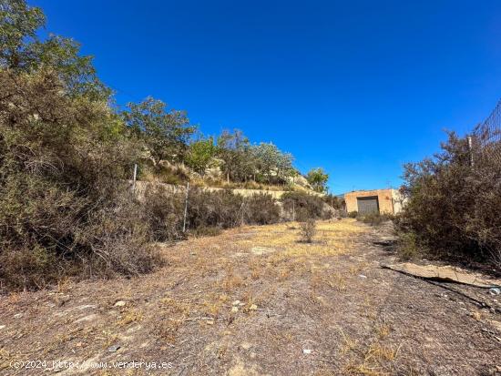 Se Alquila en Terque - ALMERIA