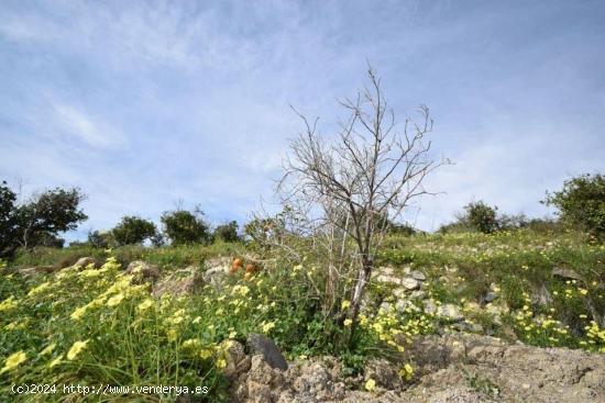 Venta terreno con casa para reformar - ALICANTE