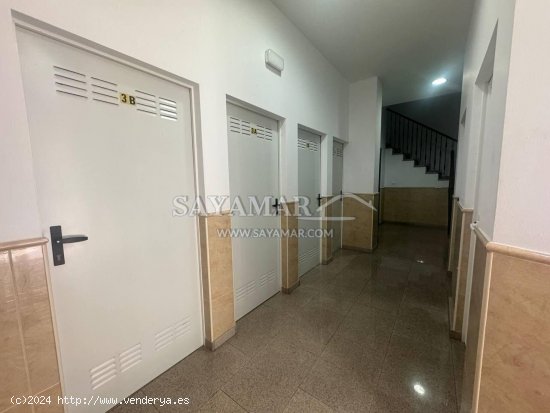 Apartamento en alquiler en Sayalonga (Málaga)