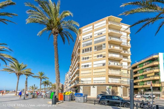 Piso en venta en Torrevieja (Alicante)