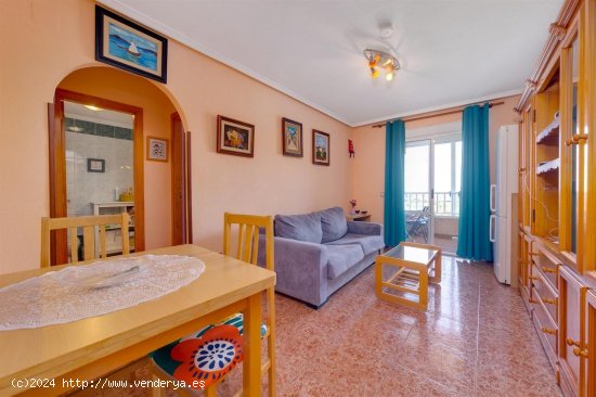 Apartamento en venta en Torrevieja (Alicante)