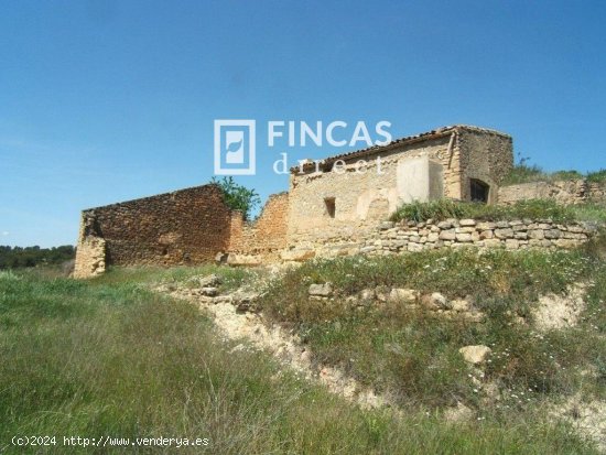 Finca en venta en Caseres (Tarragona)