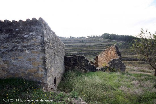 Finca en venta en Caseres (Tarragona)