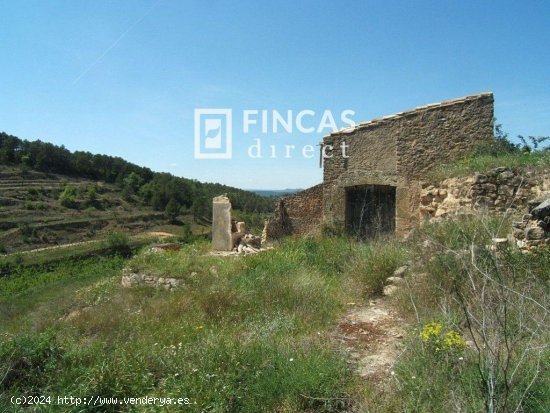 Finca en venta en Caseres (Tarragona)