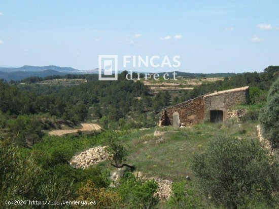 Finca en venta en Caseres (Tarragona)