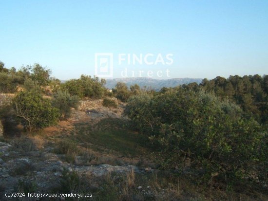 Finca en venta en Xerta (Tarragona)