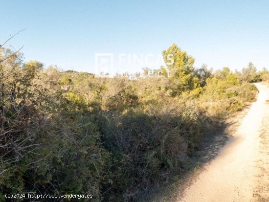 Parcela en venta en El Perelló (Tarragona)