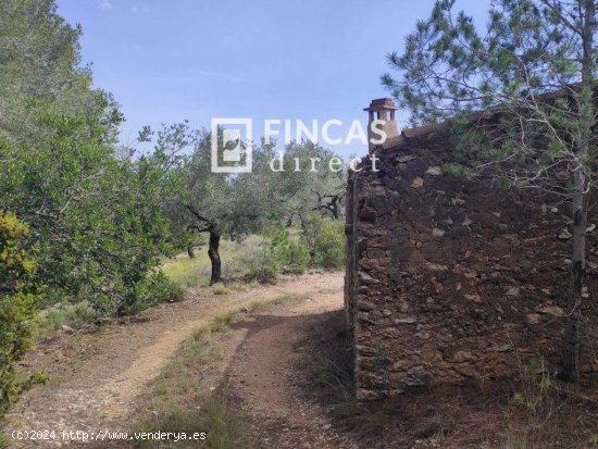 Finca en venta en El Perelló (Tarragona)