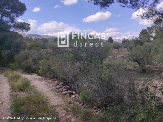 Finca en venta en El Perelló (Tarragona)