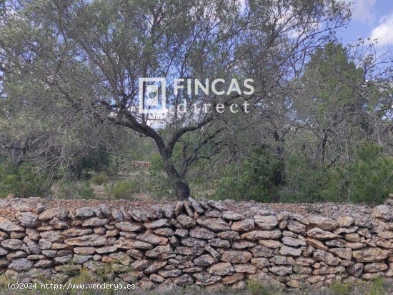 Finca en venta en El Perelló (Tarragona)