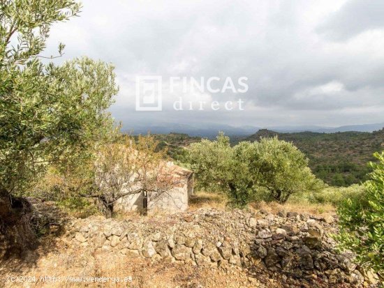 Finca en venta en Tortosa (Tarragona)