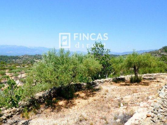 Finca en venta en Tortosa (Tarragona)