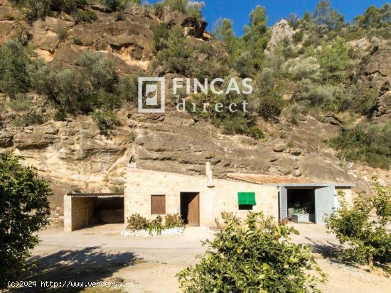 Finca en venta en Benifallet (Tarragona)