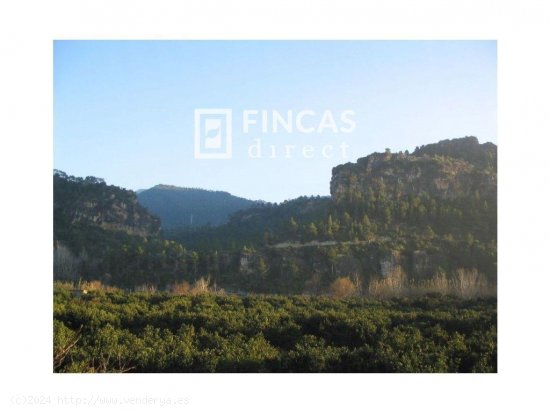 Finca en venta en Benifallet (Tarragona)