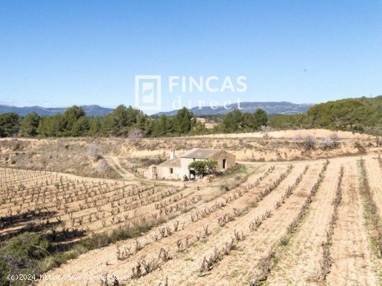 Finca en venta en Vila-rodona (Tarragona)