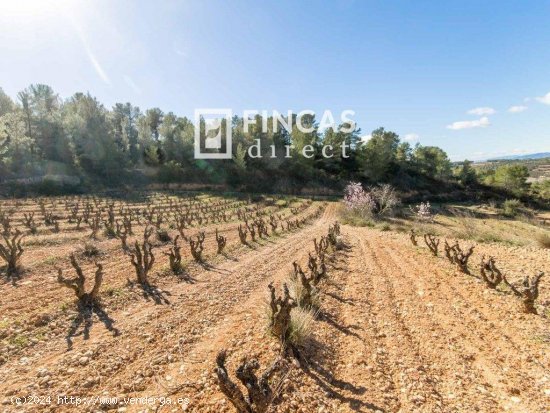 Finca en venta en Vila-rodona (Tarragona)