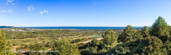 Parcela en venta en Sotogrande (Cádiz)