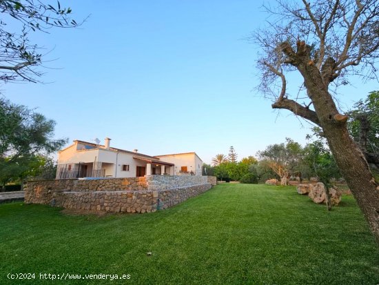 Finca en alquiler en Manacor (Baleares)