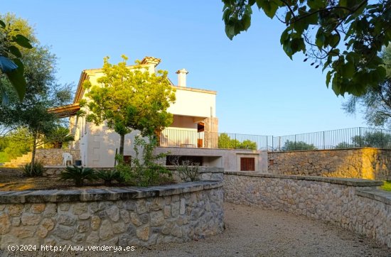 Finca en alquiler en Manacor (Baleares)