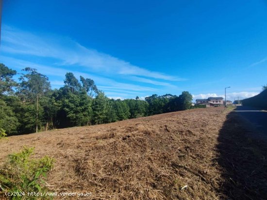  Parcela en venta en Tapia de Casariego (Asturias) 