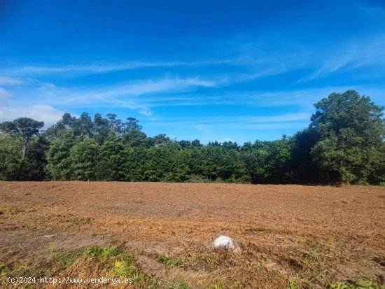 Parcela en venta en Tapia de Casariego (Asturias)