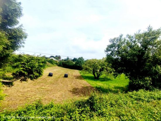 Parcela en venta en Tapia de Casariego (Asturias)