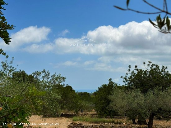 Finca en venta en El Perelló (Tarragona)