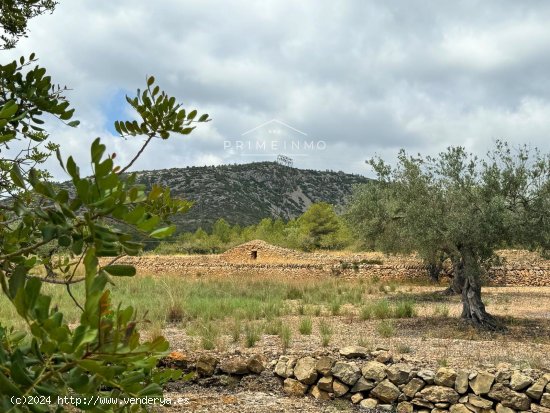 Finca en venta en El Perelló (Tarragona)