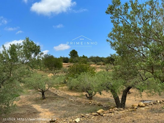 Finca en venta en El Perelló (Tarragona)