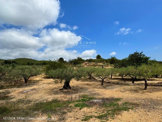 Finca en venta en El Perelló (Tarragona)