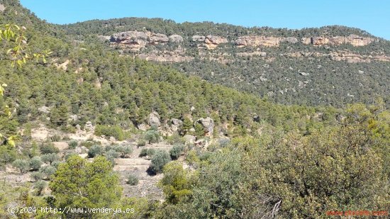 Finca en venta en Fuentespalda (Teruel)