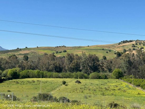 Finca en venta en Coín (Málaga)