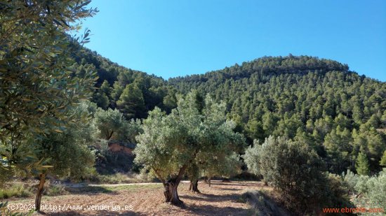 Finca en venta en Fuentespalda (Teruel)