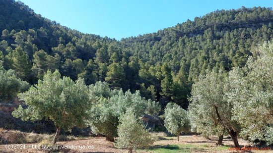 Finca en venta en Fuentespalda (Teruel)