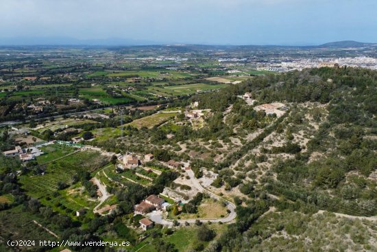 Finca en alquiler en Manacor (Baleares)