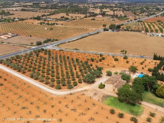 Finca en venta en Santa Eugènia (Baleares)