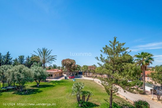 Casa en venta en San Vicente del Raspeig (Alicante)