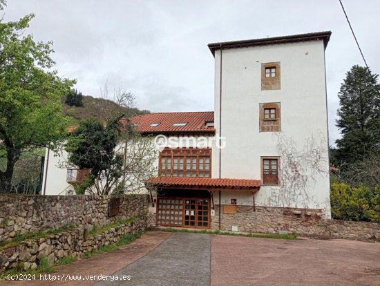  Edificio en venta en Tineo (Asturias) 