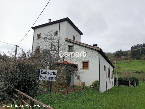 Edificio en venta en Tineo (Asturias)