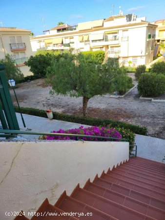 Apartamento en venta en Torrevieja (Alicante)