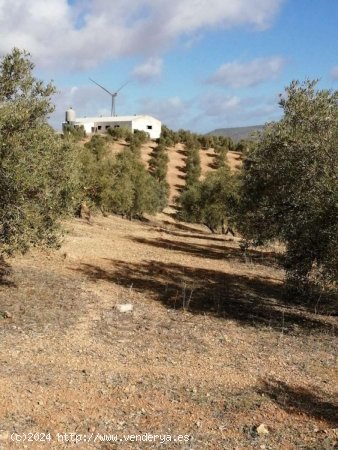 Finca en venta en Sierra de Yeguas (Málaga)