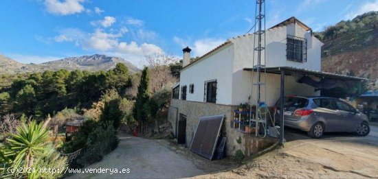 Finca en venta en El Burgo (Málaga)