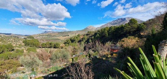 Finca en venta en El Burgo (Málaga)